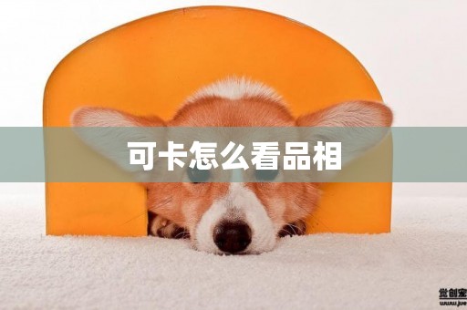 可卡怎么看品相