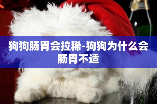 狗狗腸胃會拉稀-狗狗為什么會腸胃不適