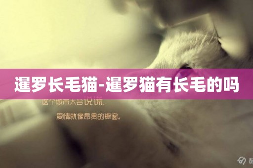 暹羅長毛貓-暹羅貓有長毛的嗎