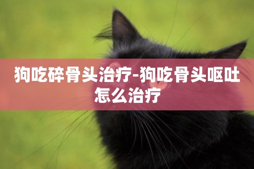 狗吃碎骨頭治療-狗吃骨頭嘔吐怎么治療