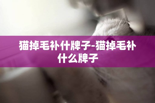 貓掉毛補什牌子-貓掉毛補什么牌子