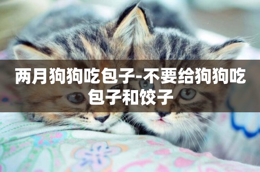 兩月狗狗吃包子-不要給狗狗吃包子和餃子