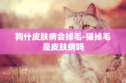 狗什皮膚病會掉毛-貓掉毛是皮膚病嗎