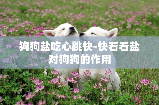 狗狗鹽吃心跳快-快看看鹽對狗狗的作用