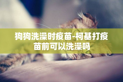 狗狗洗澡時疫苗-柯基打疫苗前可以洗澡嗎