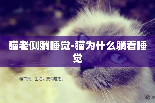 貓老側躺睡覺-貓為什么躺著睡覺
