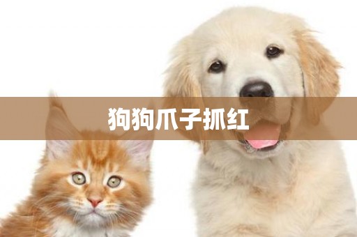 狗狗爪子抓紅
