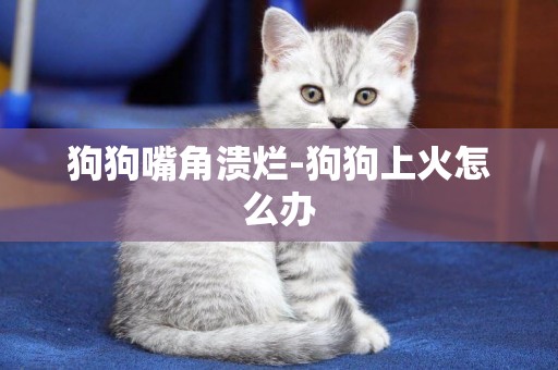 狗狗嘴角潰爛-狗狗上火怎么辦