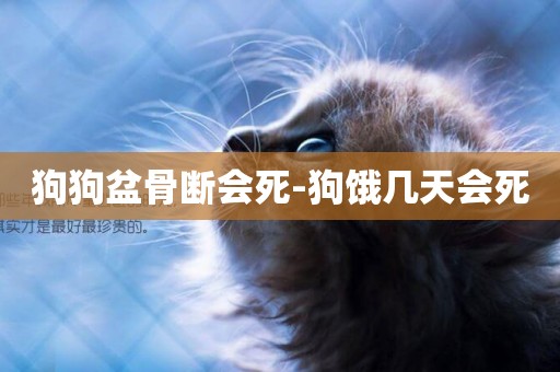 狗狗盆骨斷會死-狗餓幾天會死