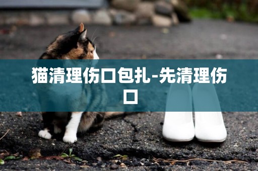 貓清理傷口包扎-先清理傷口