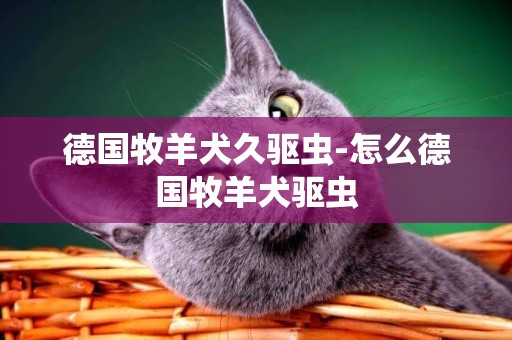 德國牧羊犬久驅蟲-怎么德國牧羊犬驅蟲