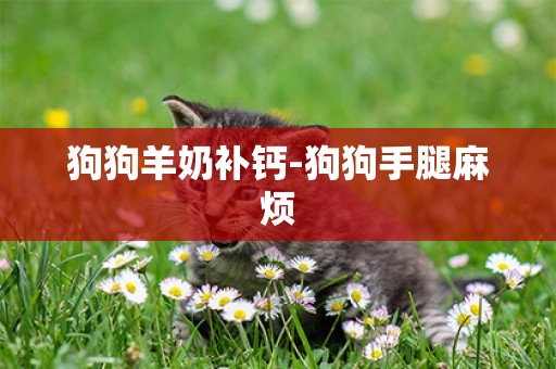 狗狗羊奶補鈣-狗狗手腿麻煩