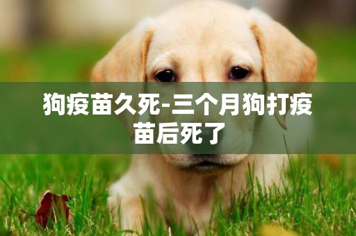 狗疫苗久死-三個月狗打疫苗后死了