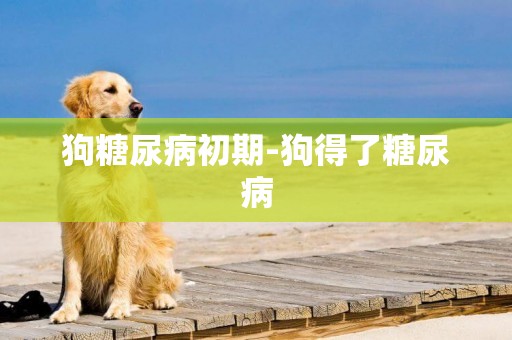 狗糖尿病初期-狗得了糖尿病