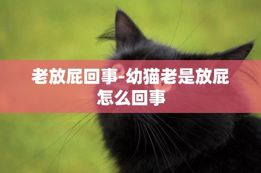 老放屁回事-幼貓老是放屁怎么回事