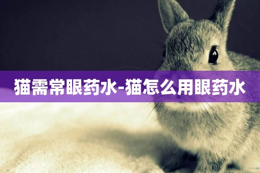 貓需常眼藥水-貓怎么用眼藥水