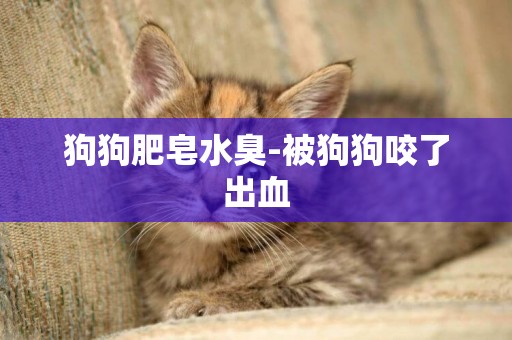 狗狗肥皂水臭-被狗狗咬了出血