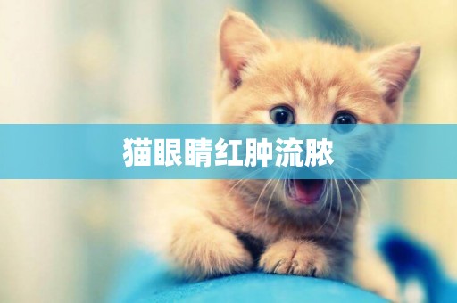 貓眼睛紅腫流膿