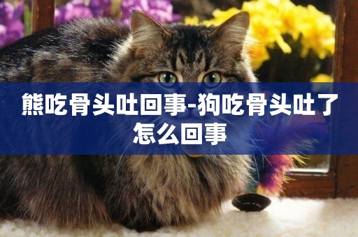 熊吃骨頭吐回事-狗吃骨頭吐了怎么回事