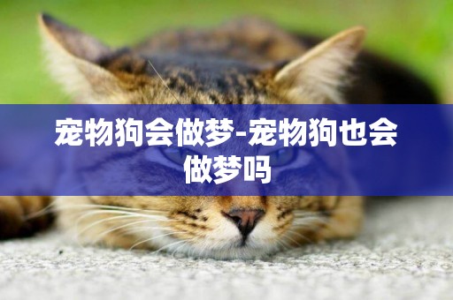 寵物狗會做夢-寵物狗也會做夢嗎