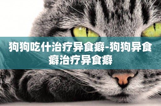 狗狗吃什治療異食癖-狗狗異食癖治療異食癖