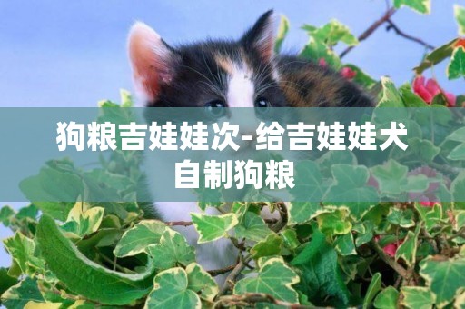 狗糧吉娃娃次-給吉娃娃犬自制狗糧