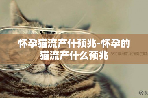 懷孕貓流產什預兆-懷孕的貓流產什么預兆