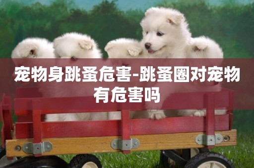 寵物身跳蚤危害-跳蚤圈對寵物有危害嗎