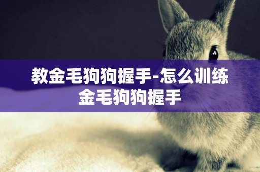 教金毛狗狗握手-怎么訓練金毛狗狗握手