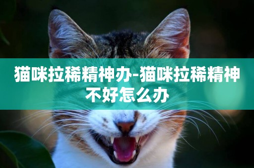 貓咪拉稀精神辦-貓咪拉稀精神不好怎么辦