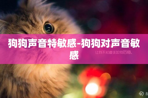 狗狗聲音特敏感-狗狗對聲音敏感
