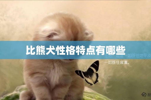 比熊犬性格特點有哪些