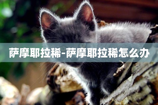 薩摩耶拉稀-薩摩耶拉稀怎么辦