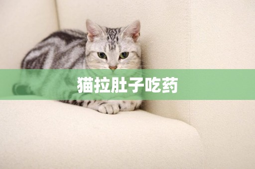 貓拉肚子吃藥