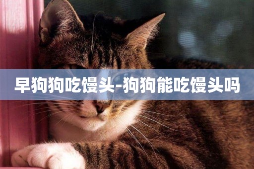 早狗狗吃饅頭-狗狗能吃饅頭嗎