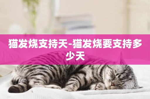 貓發燒支持天-貓發燒要支持多少天
