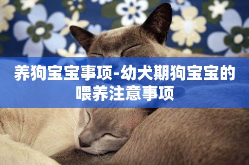 養狗寶寶事項-幼犬期狗寶寶的喂養注意事項