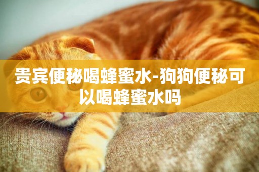貴賓便秘喝蜂蜜水-狗狗便秘可以喝蜂蜜水嗎
