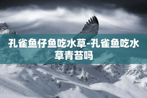 孔雀魚仔魚吃水草-孔雀魚吃水草青苔嗎