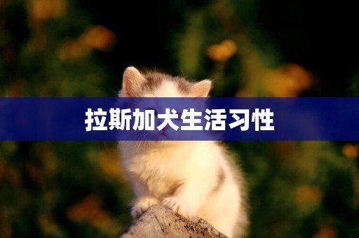 拉斯加犬生活習性