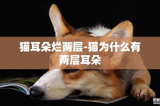貓耳朵爛兩層-貓為什么有兩層耳朵