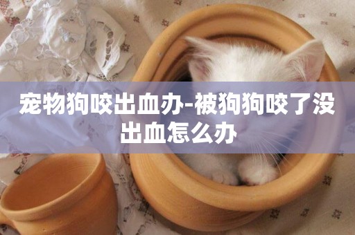 寵物狗咬出血辦-被狗狗咬了沒出血怎么辦