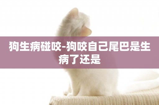 狗生病碰咬-狗咬自己尾巴是生病了還是