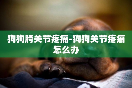 狗狗胯關節疼痛-狗狗關節疼痛怎么辦