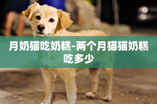 月奶貓吃奶糕-兩個月貓貓奶糕吃多少