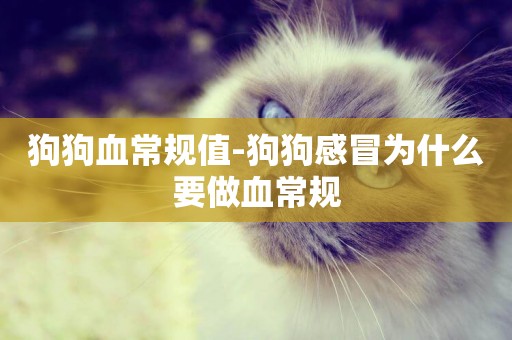 狗狗血常規值-狗狗感冒為什么要做血常規
