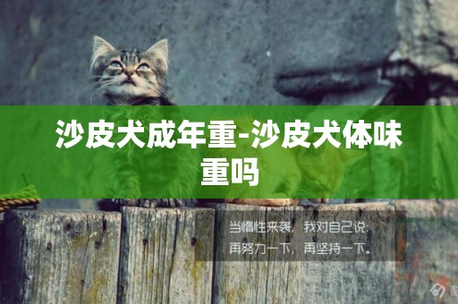 沙皮犬成年重-沙皮犬體味重嗎