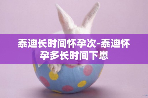 泰迪長時間懷孕次-泰迪懷孕多長時間下崽