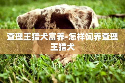 查理王獵犬富養-怎樣飼養查理王獵犬