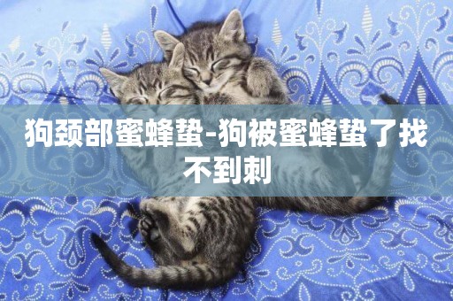 狗頸部蜜蜂蟄-狗被蜜蜂蟄了找不到刺